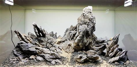 The Elements of Aquascaping: Rocks, Driftwood & Substrates - Aquascaping Love | Aquascape ...