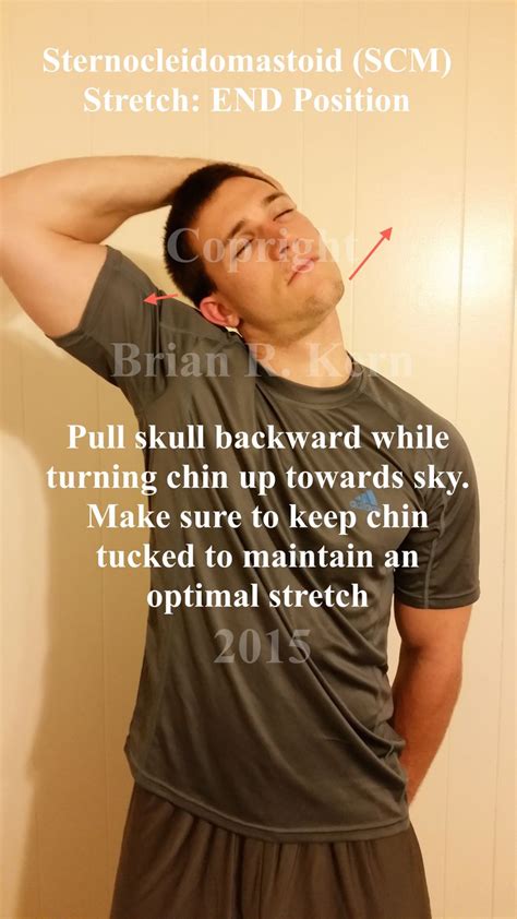 A front view of the ending position when stretching the SCM muscle. | Stretches | Pinterest ...