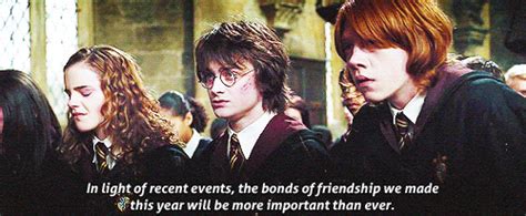 Harry Potter True Friendship Quote | Quote Number 560952 | Picture Quotes