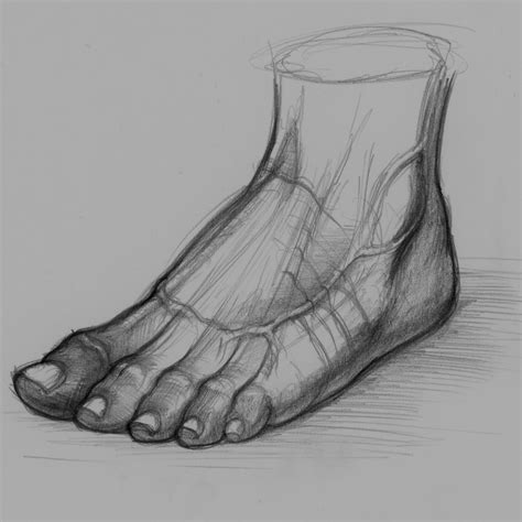 Drawing Foot Free Stock Photo - Public Domain Pictures