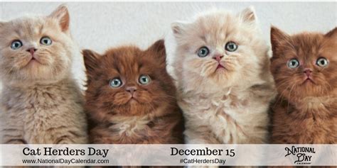 CAT HERDERS DAY - December 15 - National Day Calendar | Warrior cats books, Cats, Herding cats