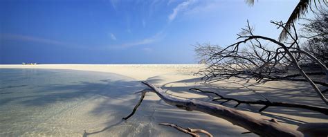 Beach [3440x1440] : WidescreenWallpaper