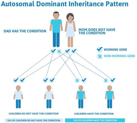 Hereditary coproporphyria causes, symptoms, diagnosis, treatment ...