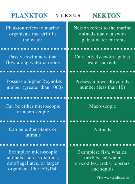 Difference Between Plankton and Nekton | Definition, Characteristics, Examples