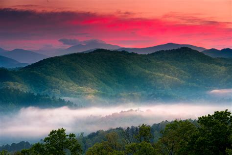 Beautiful Spring sunrise view of layered mist in the mountains of Great Smoky Mountains Natio ...