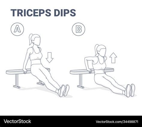 Tricep Dips Illustrated Exercise Guide | atelier-yuwa.ciao.jp