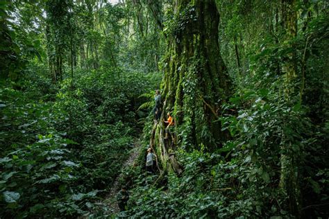 Hiking in Panamá| Urban Trails, Island Hikes & Baru Volcano