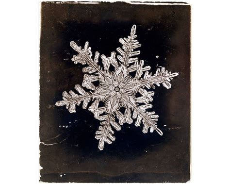 Snowflake Art Print, Winter Wall Art, Nature Art, Snow, Antique Photography Print, Wilson Alwyn ...