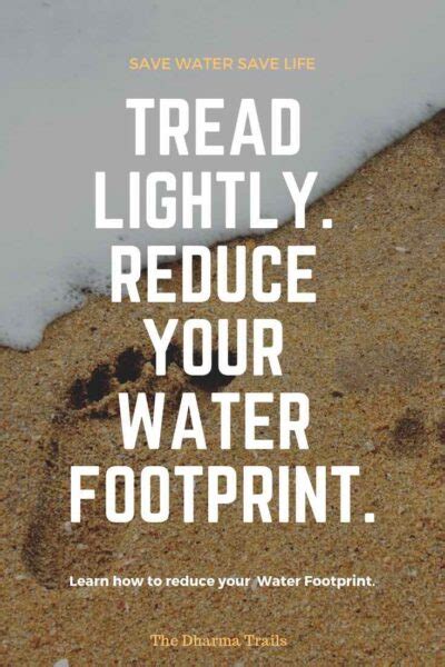 55 Best Quotes and Slogans On Saving Water (With Images)