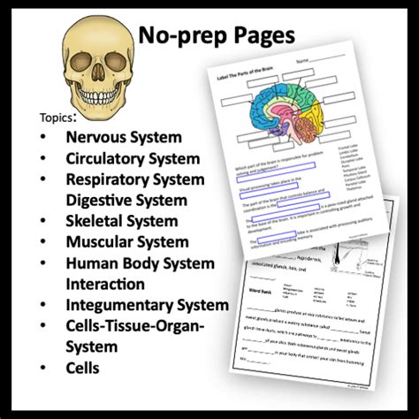 Human Body Systems Worksheets - Anatomy - Science Diagrams - No Prep - Teaching Science with ...