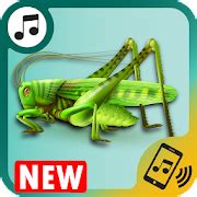 ringtones crickets for phone, cricket sounds free - Apps on Google Play