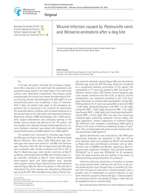 (PDF) Wound infection caused by Pasteurella canis and Neisseria animaloris after a dog bite