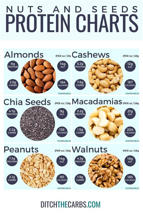 Nuts Nutrition Comparison Chart | Besto Blog