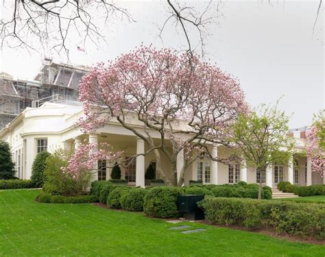 President Kennedy's Rose Garden - White House Historical Association