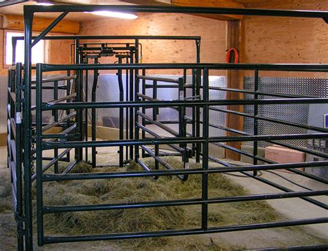 Calving Barn Design Guide » Hi-Hog