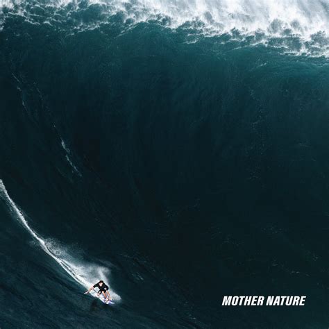 Album Review: The Dangerous Summer “Mother Nature”