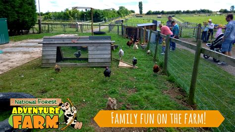 Fun for the family at the National Forest Adventure Farm | To Become Mum