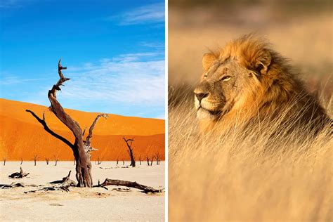 Namibia vs. South Africa for Vacation - Which one is better?