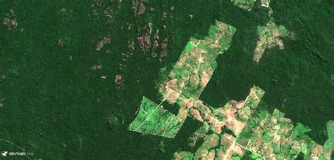 Deforestation in the Amazon | Carajas, Brazil, true color Da… | Flickr