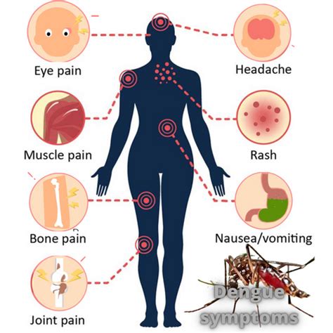 How to recognize a bite of dengue and a normal mosquito?