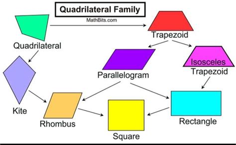 Quadrilaterals: 6 Polygons to Explore