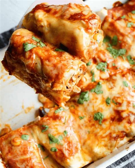 Healthy Chicken Enchiladas {Clean Eating} – Project Isabella