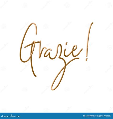 Grazie Thank You in Italian Inscription Design. Modern Handwritten Calligraphy. Isolated on the ...