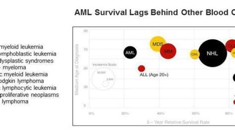 Groundbreaking Treatment for Deadly Blood Cancer – US Daily Review