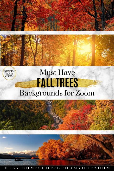 Fall Trees Zoom Backgrounds | Autumn trees, Background, Fall backdrops