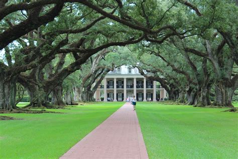 Oak Alley Plantation Movies | Find Out Why Hollywood Love It So Much