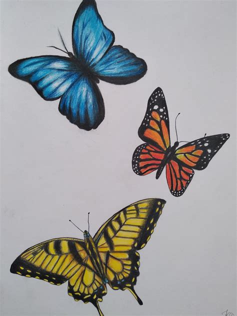 Butterflies Drawing with Colored Pencils