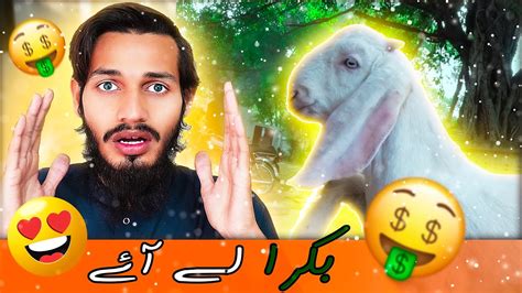 Pakistan ka sab say Mehnga Engine Oil 😱😱 | Bakra Kharid liya | Liqui ...