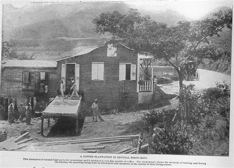 ☀ Puerto Rico ☀ Coffee plantation | Viejos Tiempos - Puerto Rico | Pinterest