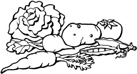 Vegetables Drawing Pictures ~ Vegetables Drawing Vector Decoration ...