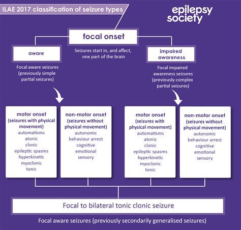 ILAE new seizure classification - what are the new seizure names? | Epilepsy Society