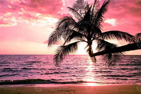 Beautiful sunset tropical beach with palm tree and pink sky for travel and vacation in holiday ...