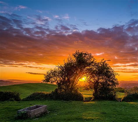 Sunset, dream, landscape, nature, sun, tree, HD wallpaper | Peakpx