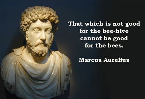 Marcus Aurelius Quotes: That which is not good for the bee-hive ...