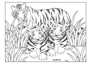 Free Printable Tiger Coloring Pages For Kids