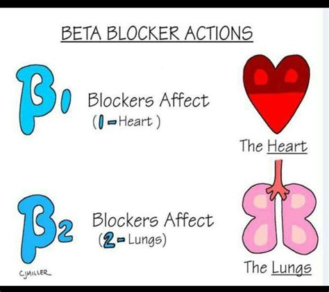 Beta Blocker Actions | Pharmacology nursing, Nursing mnemonics, Nurse