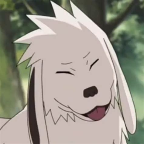 Akamaru (Naruto) | Snazzyfluff Wiki | Fandom