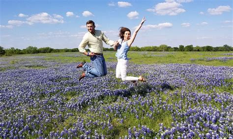 Ennis Bluebonnets - Texas Hill Country