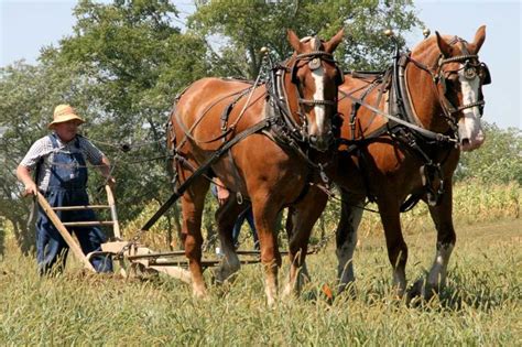 4th Annual United States Draft Horse Plowing Contest