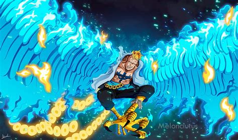 One Piece, Marco (One Piece), HD wallpaper | Peakpx