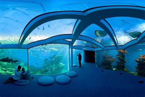 The Aquarium of Majorca - Palma Aquarium – Runaway Experiences