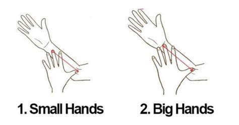 The Size Of Your Hand Says A Lot About Your Personality. Here’s The Secret! | Sayings, Shape of ...