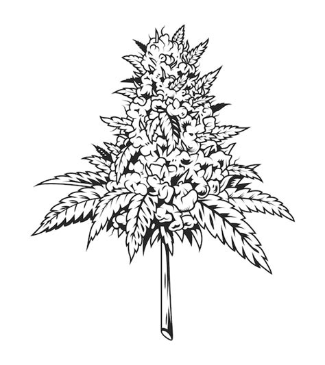 Premium Vector | Vintage monochrome marijuana plant