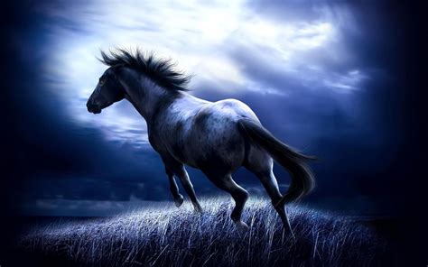 Download Horse Fantasy CGI HD Wallpaper