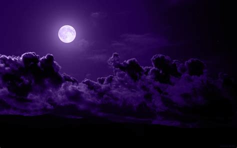 Dark Purple Wallpaper (73+ images)