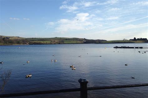 Dog walk at Hollingworth Lake Country Park · Lancashire · Walkiees